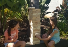 Jenga 2